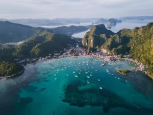 el nido