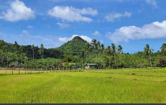 MANSILAWIT