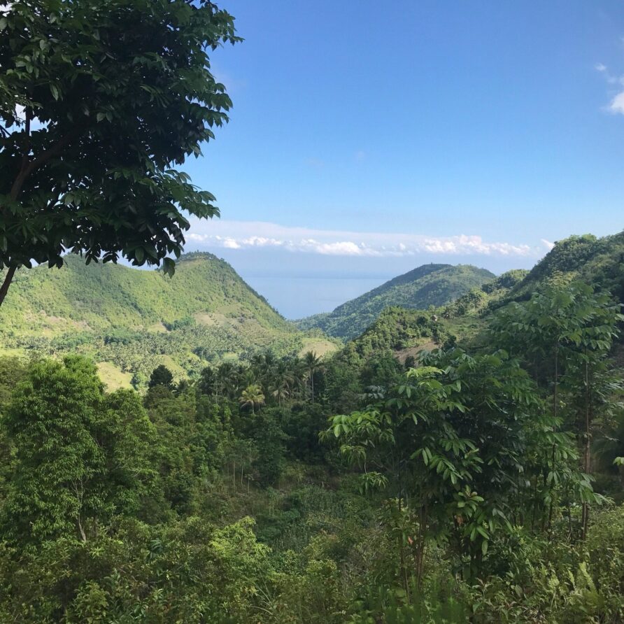 Osmeña Peak and Cancalanog Falls Tour