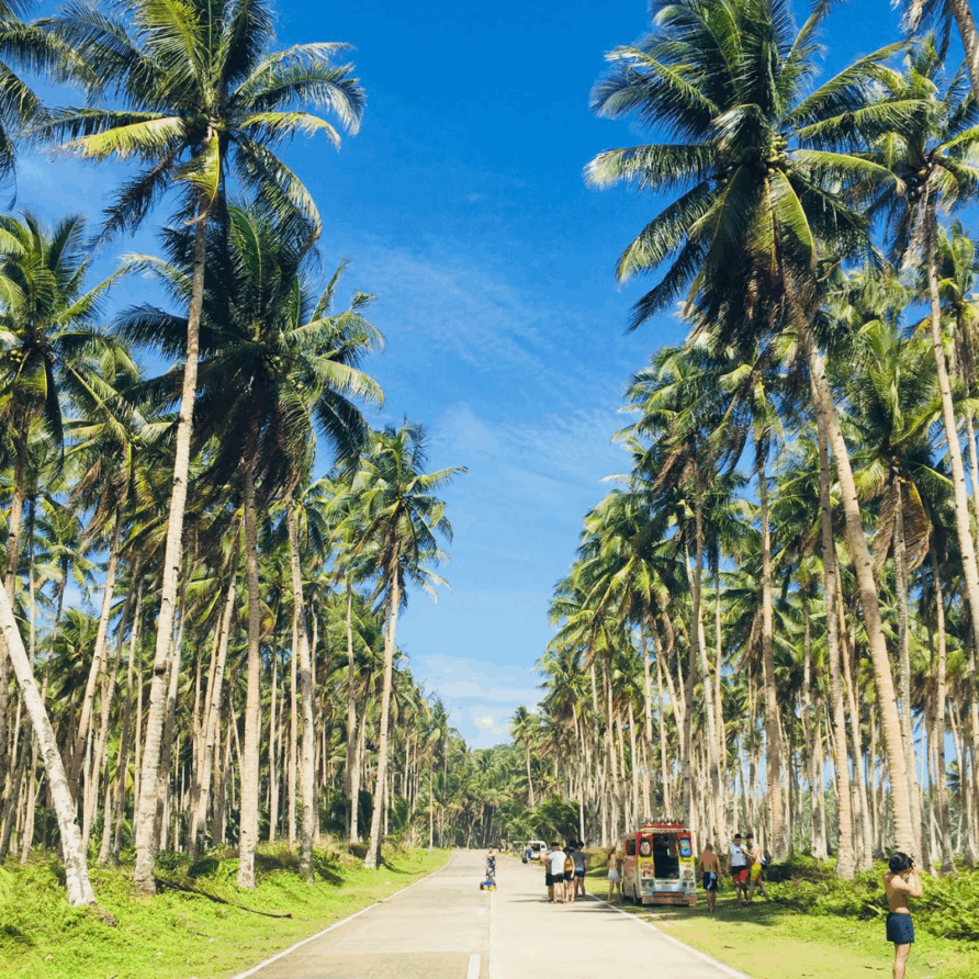 Easy Ways to Connect With Culture as a Short-Term Visitor
