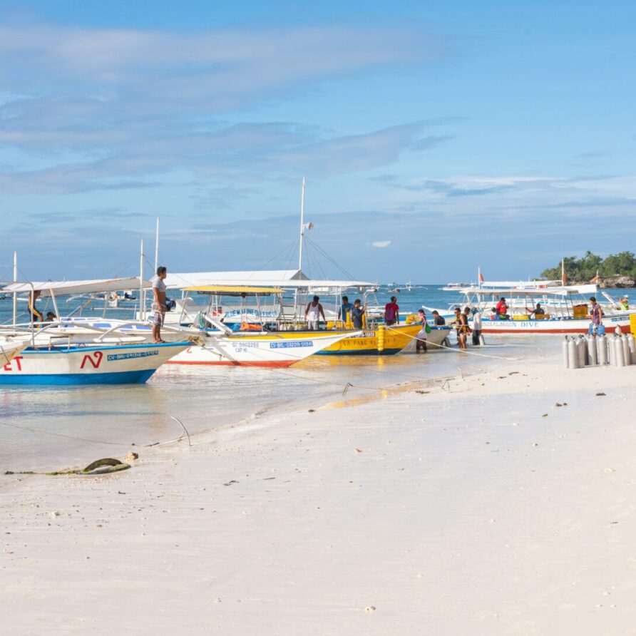 Dolphin Watching & Balicasag Island Snorkeling