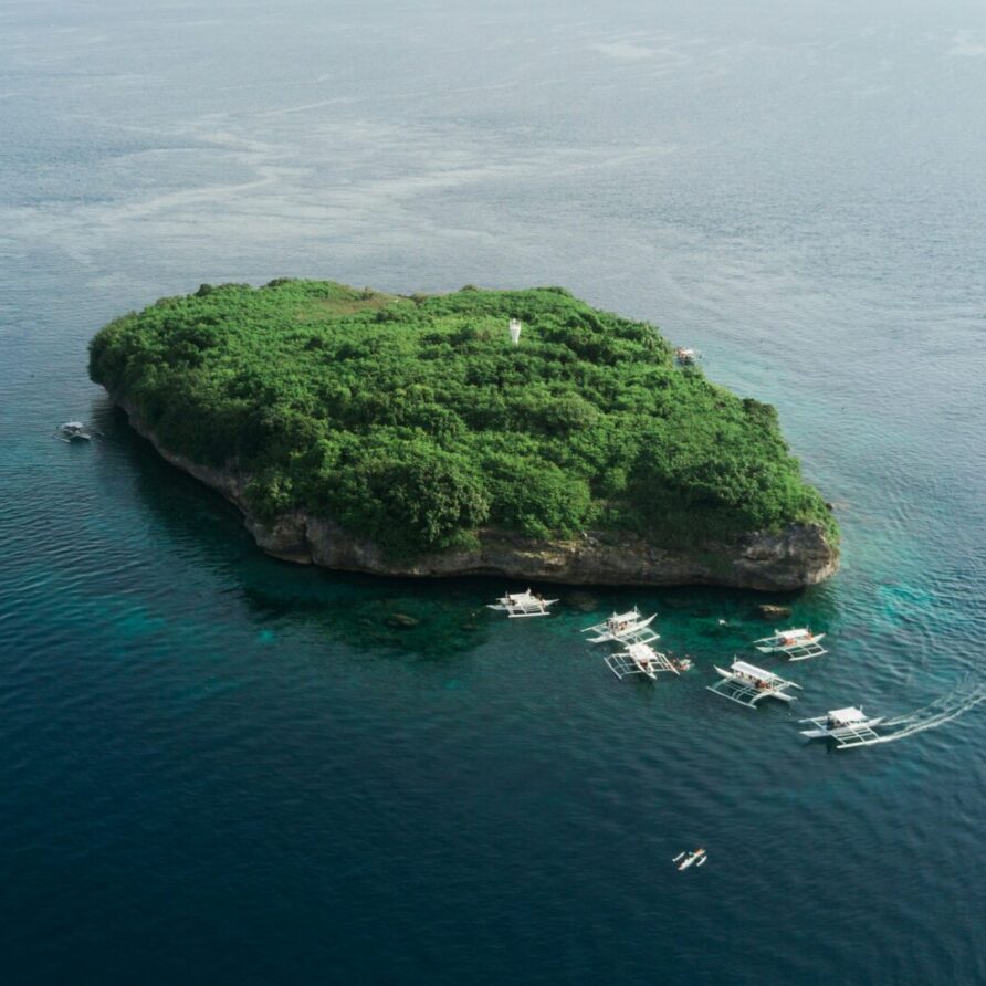 Pescador Island and Sardine Run (Moalboal)