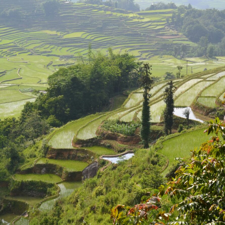 5 Days / 4 Nights: Ifugao Highlands Adventure: Banaue, Sagada & Batad