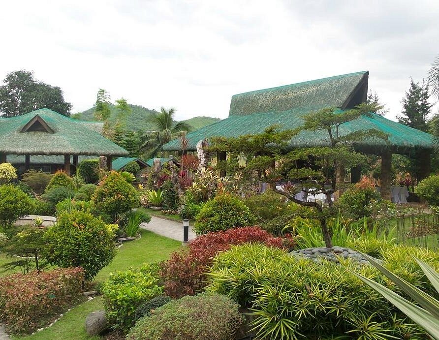 Puning Hot Springs Private Day Tour