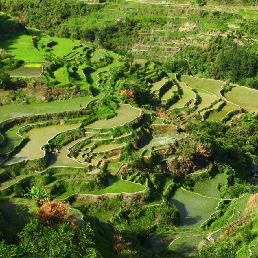 21 Days of Wonders: From Mountain Tribes to Island Dreams