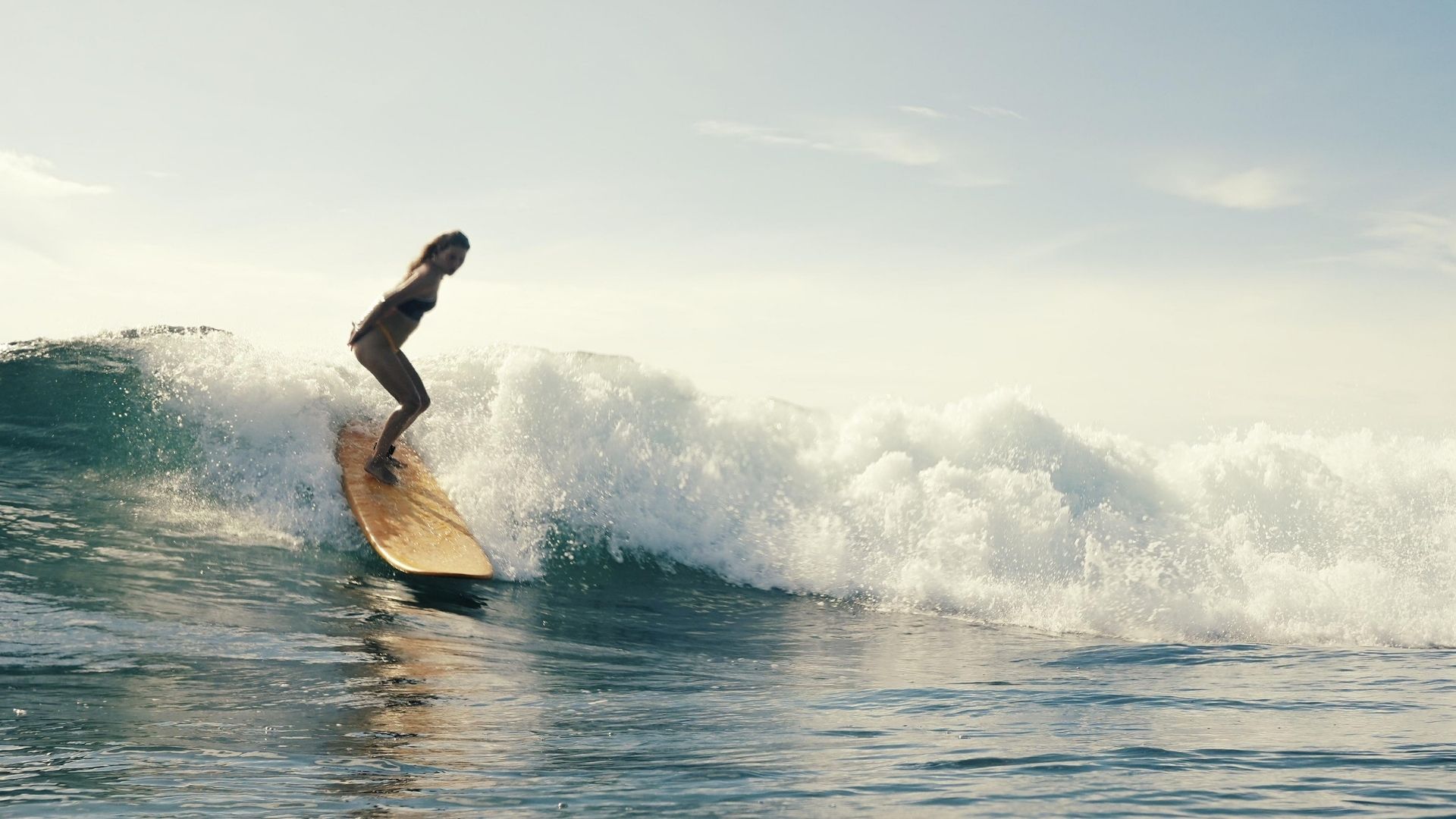 Surf Sessions interior